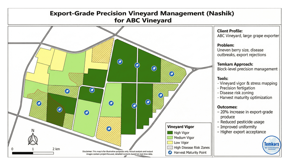agriculture & operational strategy consulting for export grade precision vineyard management (nashik)