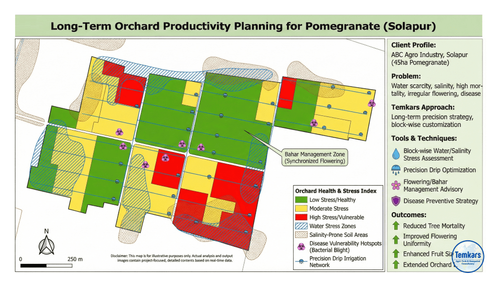 agriculture & operational strategy consulting for long term orchard productivity planning for pomegranate (solapur) 2